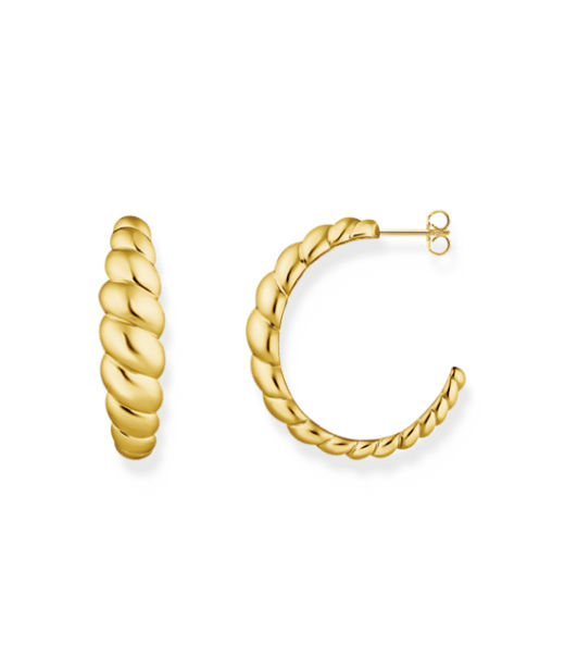 Silverörhänge Creol Twisted fg