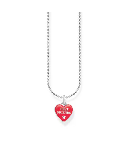 UTTG! Silverhalsband Best Friends.