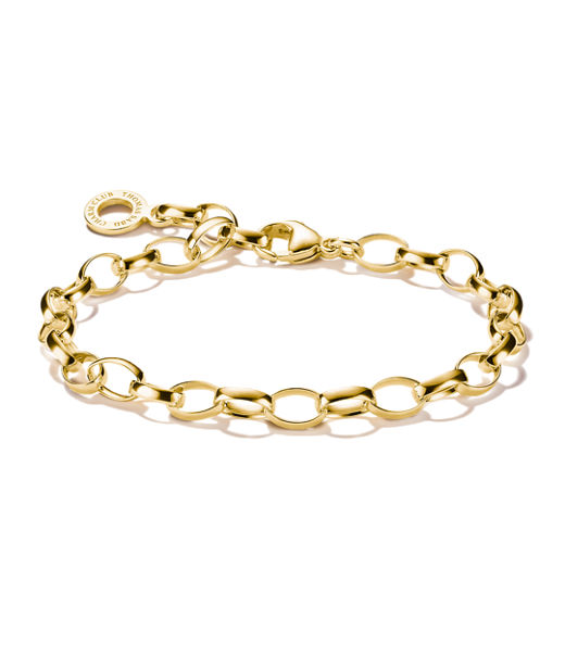 Silverarmband Charm fg