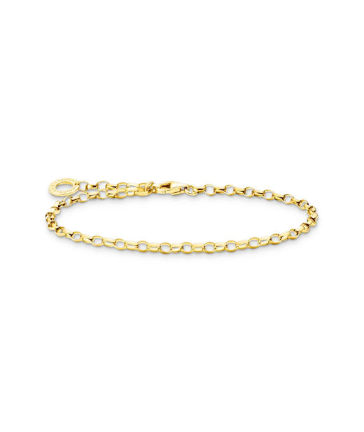 Silverarmband Charm Carrier fg